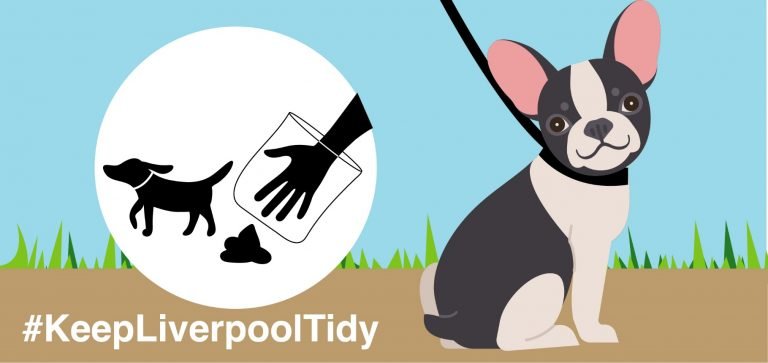 Dog owners in Liverpool to face instant fines under new rules