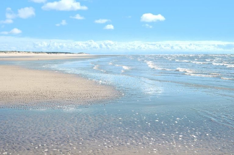 Confirmed bird flu along Sefton Coast: What to do if you’re visiting our beaches