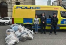 Liverpool City Council staff seize fake goods from St Johns Precinct