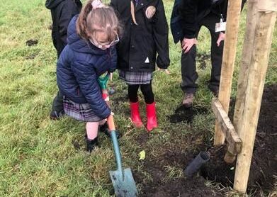 Young people bring new life to Kirkdale park