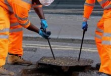 Liverpool Council visits more than 350 homes in crackdown on pest problems